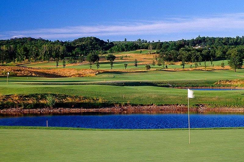 Dynamic Content Image