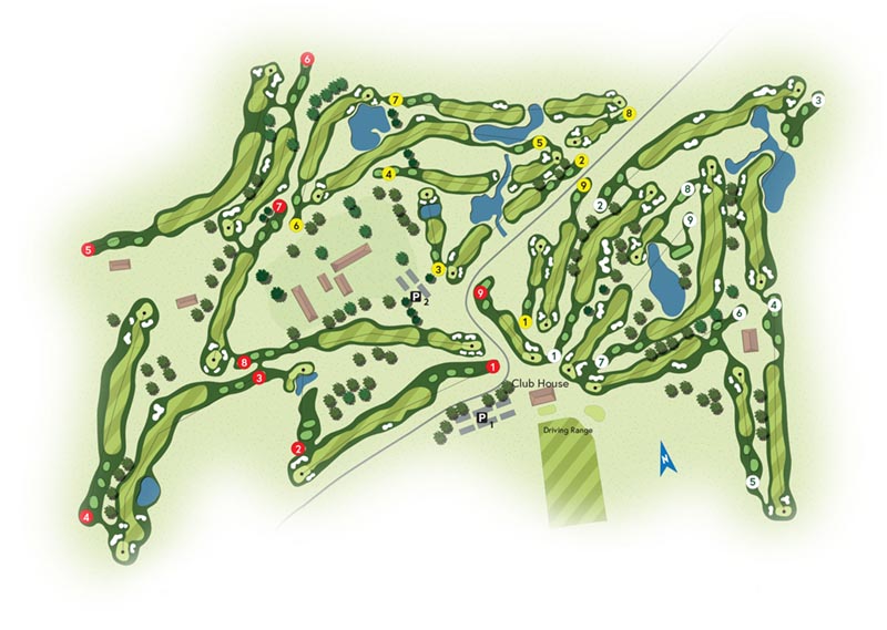 Dynamic Content Image