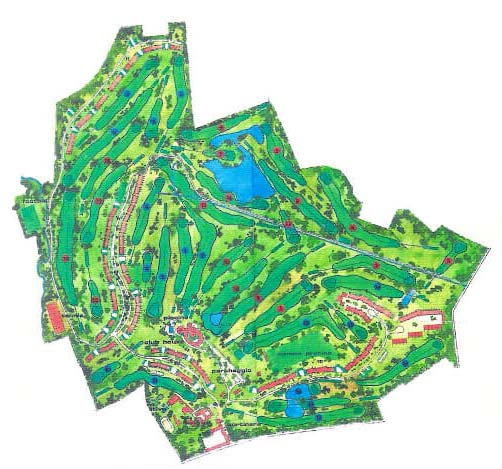 Dynamic Content Image