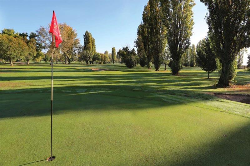 Dynamic Content Image